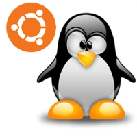Staponline-Linux-Zutphen
